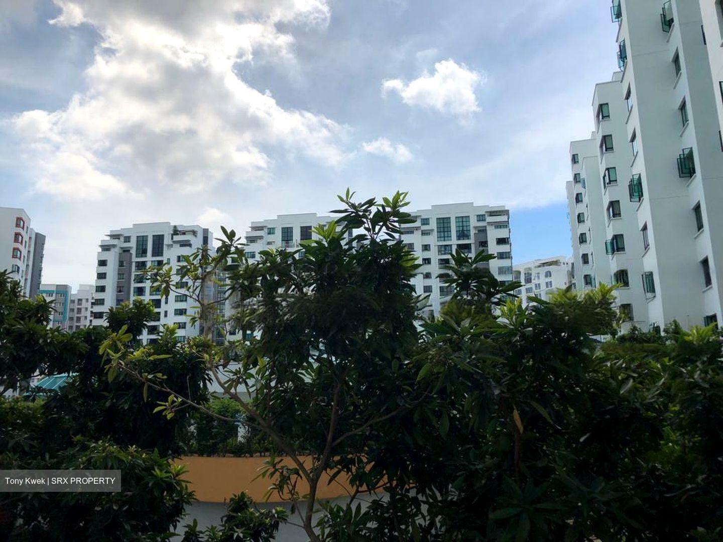 Woodsvale (D25), Condominium #463528871